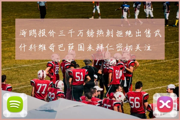 海鸥报价三千万镑热刺拒绝出售武什科维奇巴萨国米拜仁密切关注